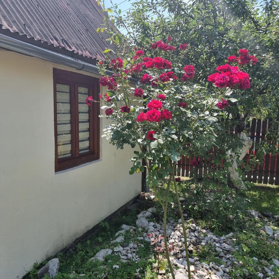 Vila Paula & Spa Sovata Luaran gambar