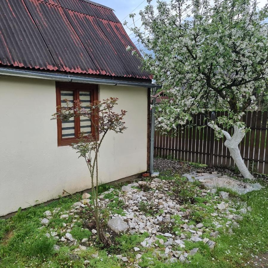Vila Paula & Spa Sovata Luaran gambar