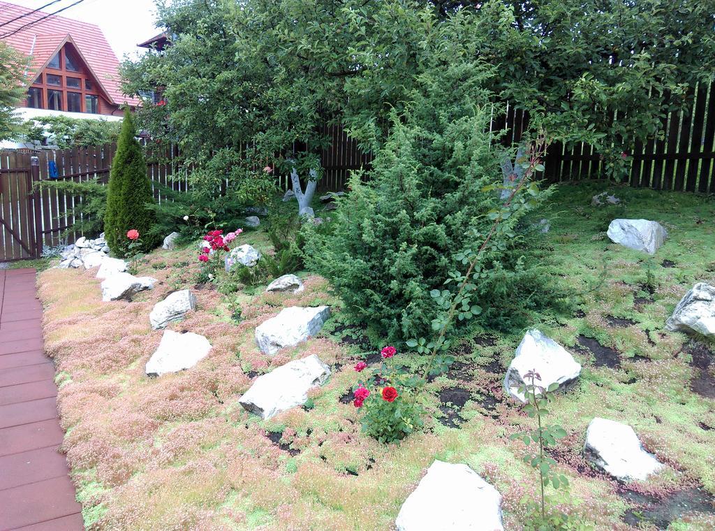 Vila Paula & Spa Sovata Luaran gambar